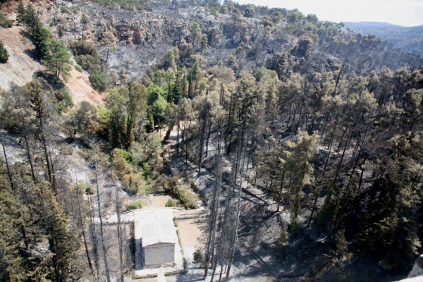 Τα πυρόπληκτα θηλιά θανάτου στις επιχειρήσεις