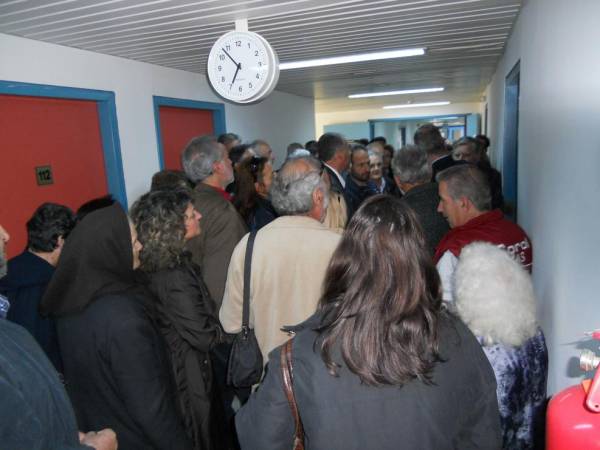 Εντονες διαμαρτυρίες και... εκπόνηση σχεδίου για τα αδέσποτα γελάδια στον Ταΰγετο (βίντεο)