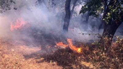 Εσπερίδα για το περιβάλλον αύριο στην Καλαμάτα