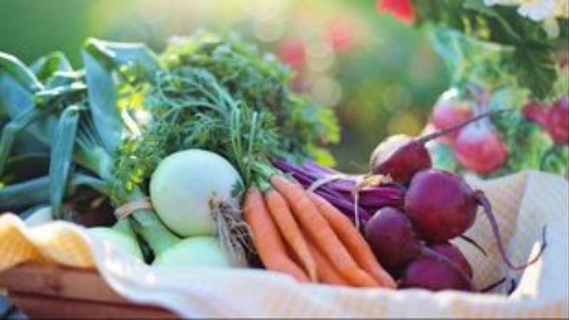 Χυμός παντζαριού μειώνει την αρτηριακή πίεση σε άτομα με χρόνια αποφρακτική πνευμονοπάθεια