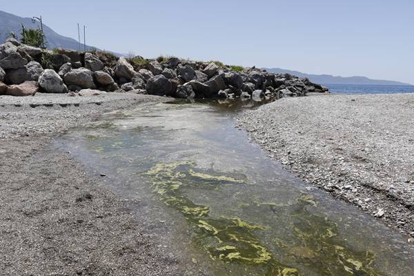 Με γύρη γέμισαν οι εκβολές του Νέδοντα