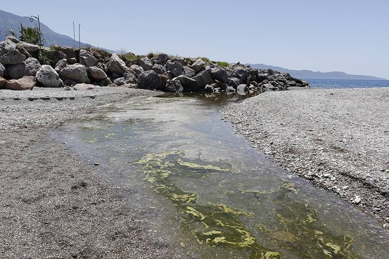 Με γύρη γέμισαν οι εκβολές του Νέδοντα