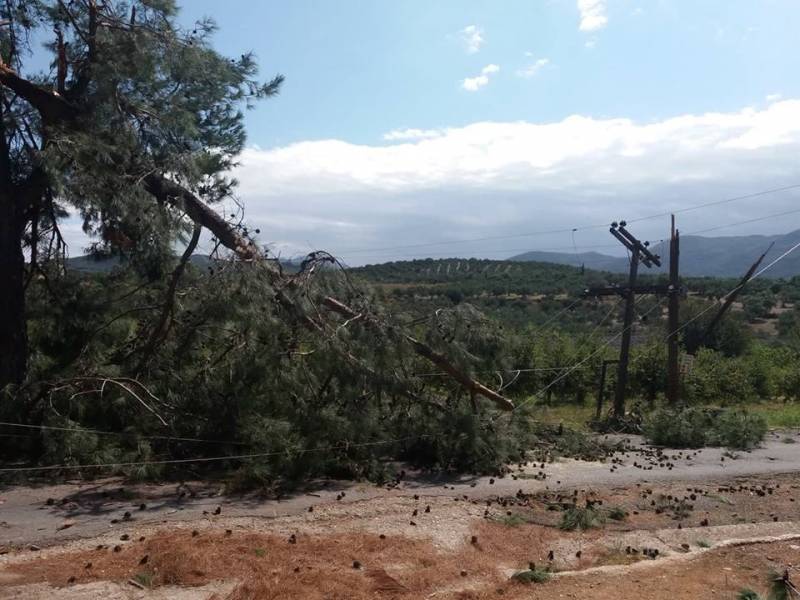 Προβλήματα από τους ισχυρούς ανέμους στην Τριφυλία