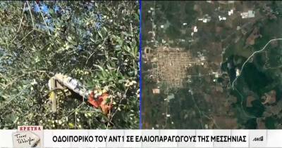 Ελαιόλαδο: Εκτόξευση των τιμών – Τι λένε οι παραγωγοί (βίντεο)