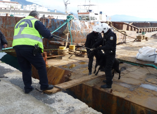 Παγκόσμιο θέμα η γίδα της Καλαμάτας!