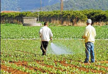 Εσπερίδα του ιδρύματος "Καπετάν Βασίλης": "Βιώσιμη αγροτική ανάπτυξη στη Μεσσηνία"