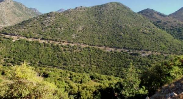 Δημοπρασία 3,5 εκ. ευρώ για το Μηλέα - Παναγία Γιάτρισσα