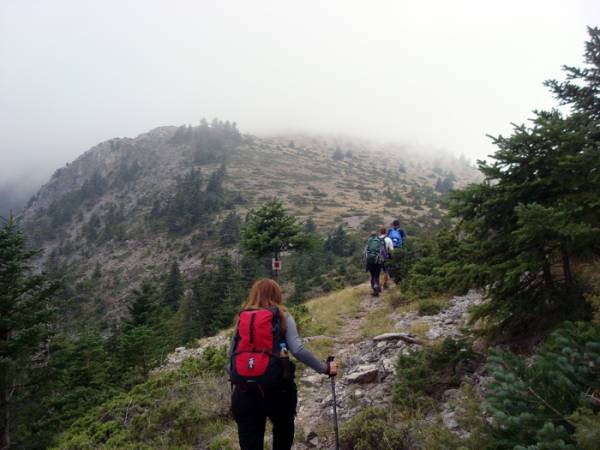 Νυκτερινή ανάβαση του Ε.Ο.Σ. Τρίπολης