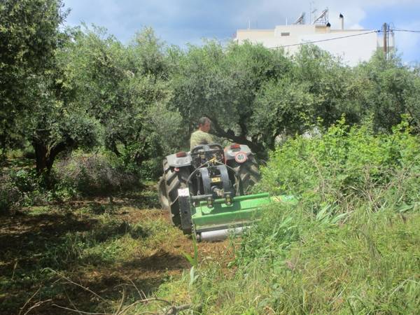 Επέδειξε υπευθυνότητα