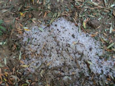 Καταστροφές από χαλάζι σε ελιές, αμπέλια και σταφίδες σε Πυλία και Τριφυλία