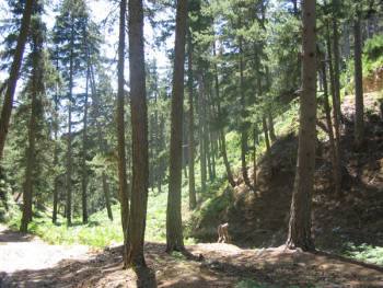 Ανοιξιάτικο Σχολείο της Φύσης στον Ταΰγετο