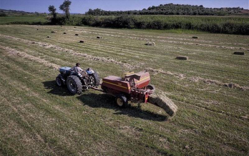 Παράταση έως 28/12 για το πρόγραμμα των Νέων Αγροτών - Πού κυμαίνονται οι ενισχύσεις