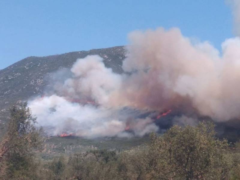 Σε ύφεση η πυρκαγιά στο Κεφαλόβρυσο Χώρας (βίντεο)