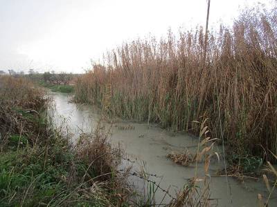 Μάκαρης κατά δημοτικής αρχής για Μουτελάκη