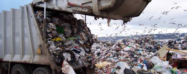 Εντιμη στάση