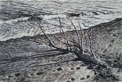 Εκθεση ζωγραφικής της Μαριέττα Αντιόχου - Φωτέα