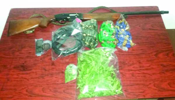 Καλλιεργούσε χασισόδεντρα σε αγρόκτημα στο Πεταλίδι