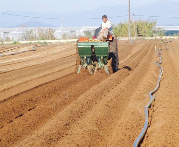 Ο ανταγωνισμός τρώει και τις μεσσηνιακές πατάτες