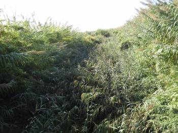 Να καθαριστεί ο ποταμός Αρις ζητεί ο πρόεδρος της Μικρομάνης