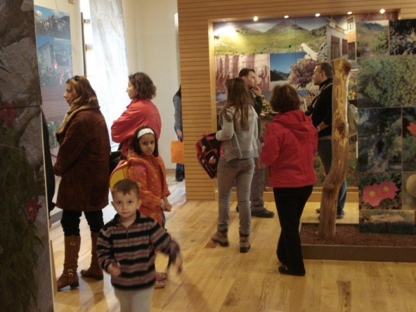 Περιβαλλοντικές δράσεις στο Κέντρο Περιβαλλοντικής Ενημέρωσης Καστάνιτσας με αφορμή την Γιορτή Καστάνου