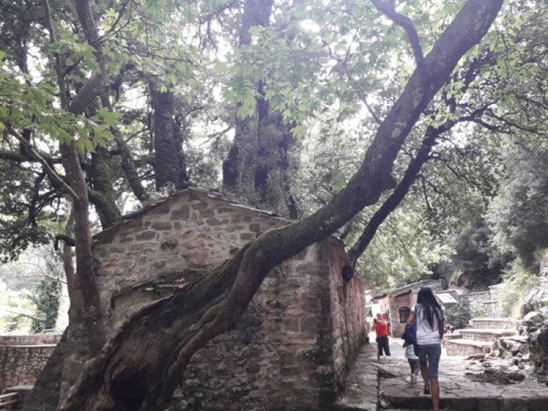 Ο θρησκευτικός τουρισμός μπορεί να βοηθήσει τη Μεσσηνία