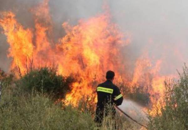 Φωτιά απείλησε το δάσος Βασιλικής