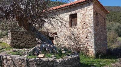 Ψηφιακή προβολή χωριών από τις «Αρχιτεκτονικές Διαδρομές Μεσσήνης»