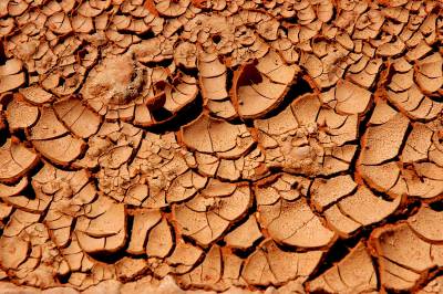 «CAFÉ-NEO»: «Κλιματική αλλαγή και πολιτισμοί: αλληλεπιδράσεις στη διάρκεια των αιώνων» στην Καλαμάτα