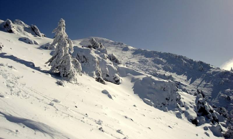 Ο Ορειβατικός Σύλλογος Καλαμάτας στο Μαίναλο