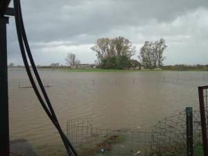 Φυσικές καταστροφές και ανθρώπινες επεμβάσεις