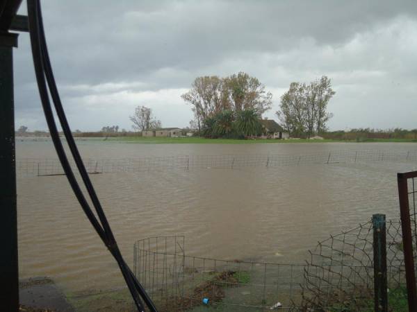Φυσικές καταστροφές και ανθρώπινες επεμβάσεις