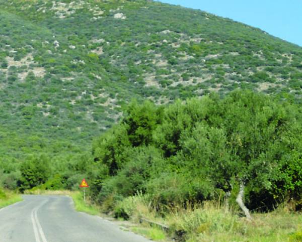 Προτάσεις Λαμπρόπουλου για τους δασικούς χάρτες