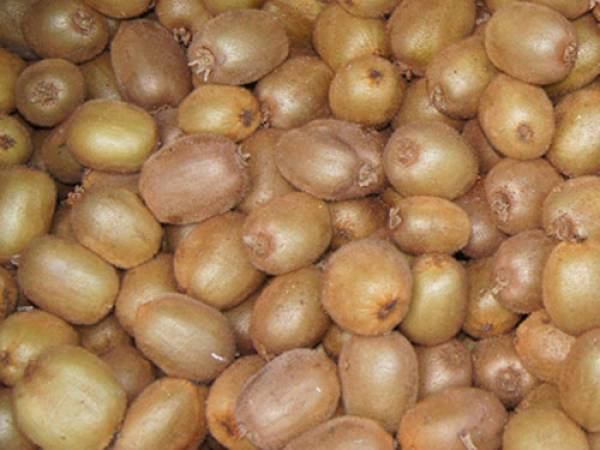 Διανομή ακτινίδιων σε δικαιούχους της Τριφυλίας