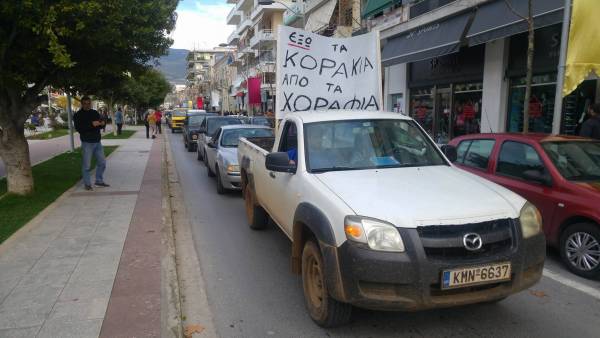 Στο Δασαρχείο Καλαμάτας αγρότες από τη Μάνη (βίντεο)