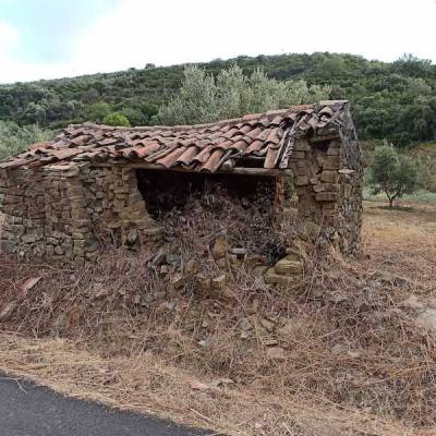 Οι διαδρομές της παρακμής