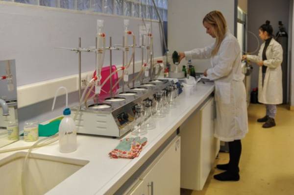 Απίστευτο κι όμως αληθινό: «Δεν υπάρχουν επίσημα στοιχεία για το καλύτερο ελαιόλαδο» (βίντεο-φωτογραφίες)