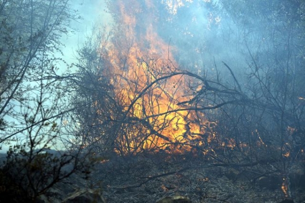 Φωτιά στην Καρυούπολη Λακωνίας