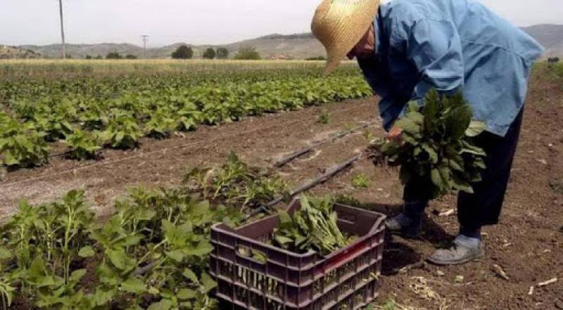 Νέος αναπτυξιακός νόμος: Επιδότηση έως και 55% σε αγροτικές επενδύσεις