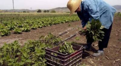 Νέος αναπτυξιακός νόμος: Επιδότηση έως και 55% σε αγροτικές επενδύσεις