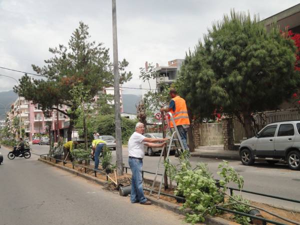 Φύτευση δέντρων στην Ακρίτα