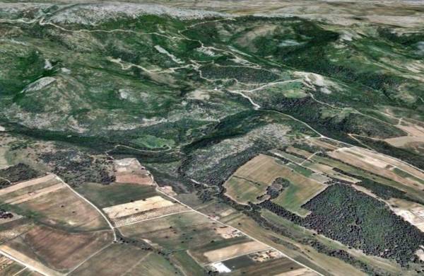 Δασικοί χάρτες: Αγορά εκχερσωμένων εκτάσεων σε 100 δόσεις