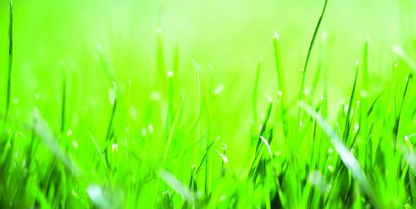 Σχεδιασμός του Δήμου Ευρώτα για την συνεργασία με την «Αμερικάνικη Γεωργική Σχολή»