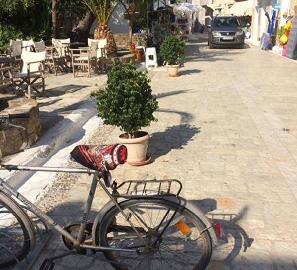 Κλήση 400 ευρώ για 2 γλάστρες