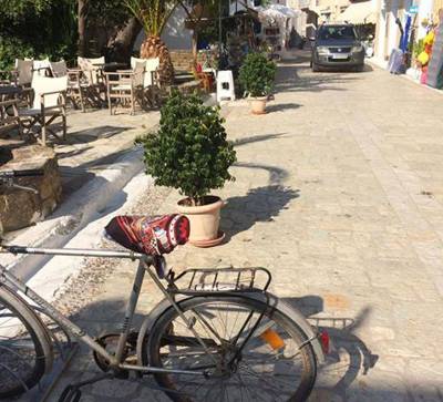 Κλήση 400 ευρώ για 2 γλάστρες