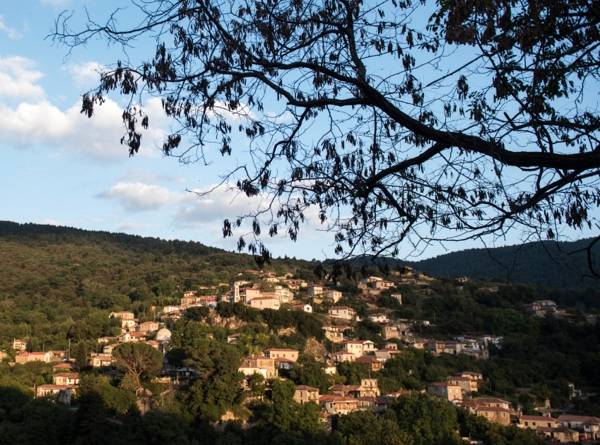 Πλήθος δράσεων στη Βαμβακού Λακωνίας