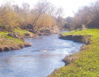 Στη Μεσσήνη ο Αντ. Κοτσώνης για την αξιοποίηση του Παμίσου