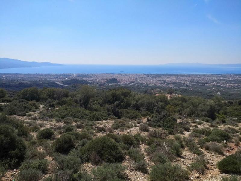 Γιατί οι νέοι φεύγουν από τον &quot;ευλογημένο τόπο&quot;;