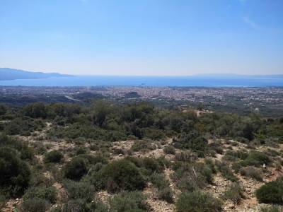 Γιατί οι νέοι φεύγουν από τον "ευλογημένο τόπο";
