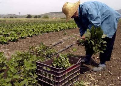 Πρόγραμμα για νέους αγρότες