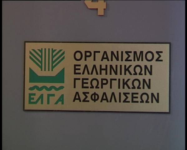774.000 ευρώ από τον ΕΛΓΑ στη Μεσσηνία